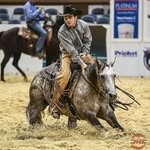 Kolby Moore Performance Horses - @kolbymooreperformancehorses - Instagram