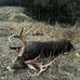 Kolby D Payne - Facebook