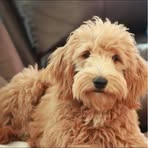 Kolton Barber - Facebook