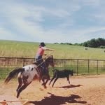 Colton Hill - @cowboycolton8 - Instagram