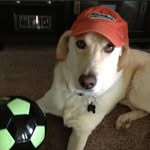 Colton Phillips - @coltonphillips19 - Instagram