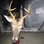 Kolton James Stephens - @kolton___123 - Instagram