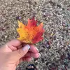 Konny Lopez855 - @konny697 - TikTok