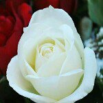 koonchang - @koonchang767 - Instagram