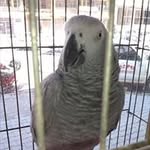 Koray Öncel - @koray_oncel - Instagram