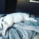 korbin reich - @korbinreich09 - Instagram