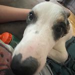 Korbin Sims - @korbin_sims - Instagram