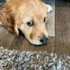 Korbin Sims - @korbin.sims - TikTok