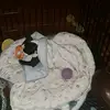 kory.boyd2 - @kory.boyd2 - TikTok