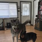 Corey Harmon - Facebook