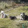Korey James - @korey.james76 - TikTok