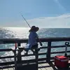 🇺🇸✝️KoreyJames✝️🇺🇸 - @korey.james3 - TikTok