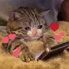 Korey Pearson - @korpear1 - TikTok