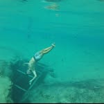 Corey Reed - @corey_reed_ - Instagram