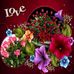 Kaliar Koree - Facebook