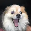 korimeyer611 - @korimeyer611 - TikTok