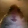 Sc-koriphillips11 - @koriphillips_13 - TikTok