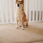 Kori Wright - @kori.wright.79 - Instagram