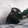 Karie Otto - @karieotto - TikTok