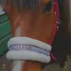 Elke week nieuwe korte vlogs🤍 - @tiktokpaardenvlogs - TikTok