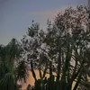 Kourtney.keller - @kourtney.keller - TikTok