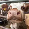 Kory Adams - @kory.a1 - TikTok
