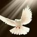 Elly Kuri - Facebook