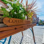 Cory Knutson - @dotravelingofficial - Instagram