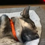Korey Knutson - @koko_knuts - Instagram