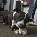 Cory Olson - @cory.olson.750 - Instagram