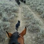 Cory Phipps - @cory_phipps - Instagram