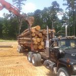 Cory Riley - @4_star_land_and_timber_llc - Instagram