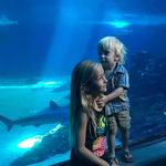 Cory Sullivan - @cory_sullivan - Instagram