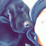 Cory Sullivan - @sullycory42 - Instagram