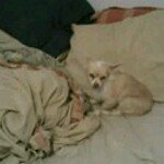 Kory Micheal Sullivan - @kory_500 - Instagram