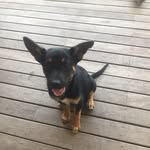 Korey Ward - @korey.ward - Instagram