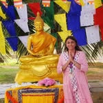 Kosha Patel - @koshainkanha - Instagram