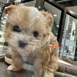 Kosuke - @kosuke.kimura6 - Instagram