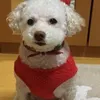 kosukekimura2 - @kosukekimura2 - TikTok