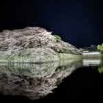 kotaro mori - @monstagram2023 - Instagram