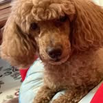 Kotaro Mori - @kotaro540 - Instagram