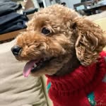 Kotaro.Mori - @pepero0222 - Instagram