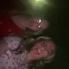 kourtney_murphy5 - @kourtney_murphy5 - TikTok