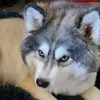 krisabbott6 - @krisabbott6 - TikTok