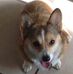 Kris Andrews - Facebook