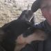 Kris Andrews - Facebook