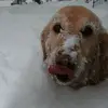 Kristen Arndt - @kristen.arndt - TikTok