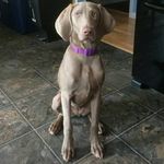 Kris Atkinson - @saskquatch81 - Instagram