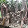 Kristen Ayers - @kristenayers0 - TikTok