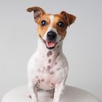 Kris Barton - @kris48bart - Instagram